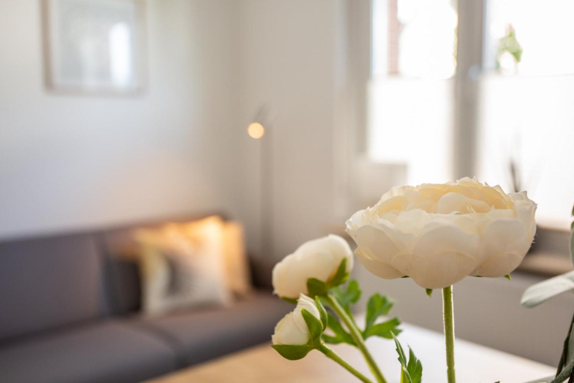 شقة Boardinghouse44 Georgsmarienhütte المظهر الخارجي الصورة